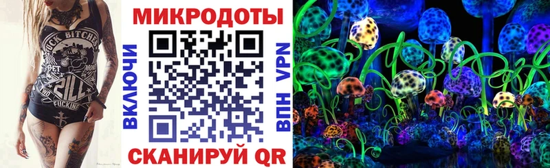Галлюциногенные грибы Psilocybe  omg ссылка  Чехов  магазин продажи  